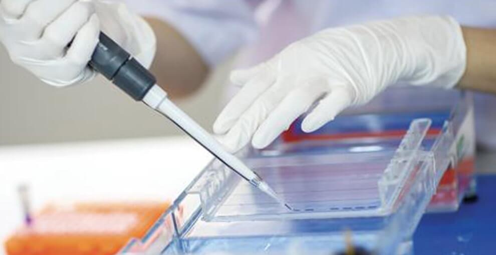 PCR & Molecular Biology